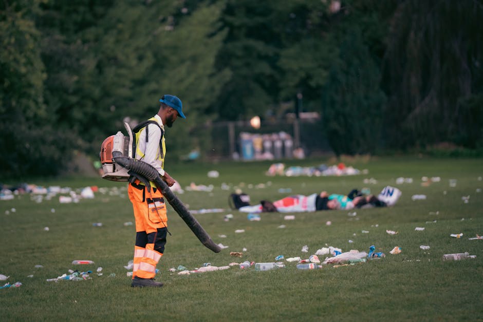 Clissold Park rubbish clearance guide for Stoke Newington