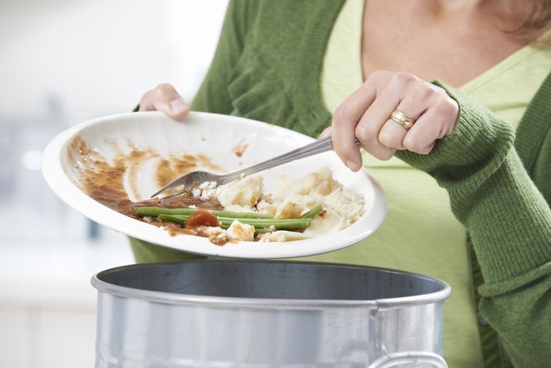 Decoding the Environmental Impact of Negligent Waste Disposal